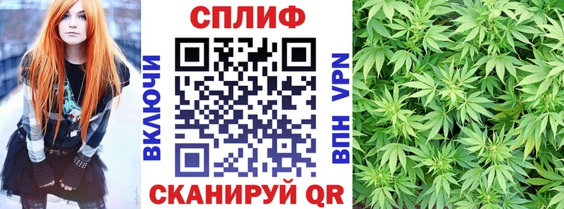 купить наркоту  Велиж  ссылка на мегу ссылки  Канабис план 